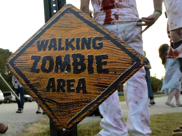 Hacker broadcasts zombie warning on TV
