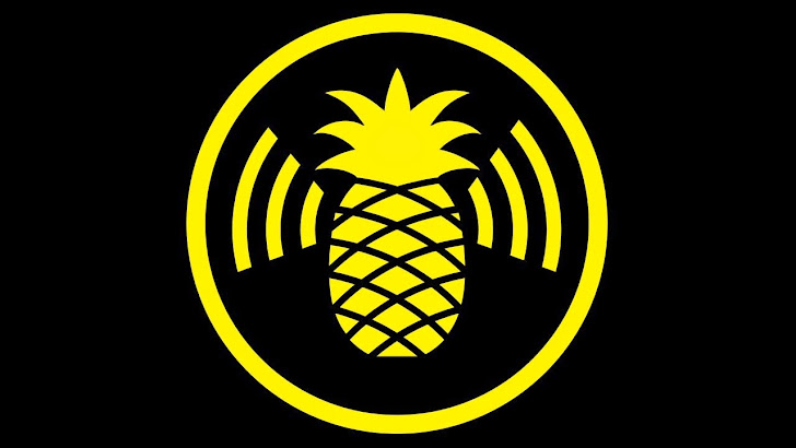 Researcher to Demonstrate Poor SSL Implementations Using Pineapple WiFi