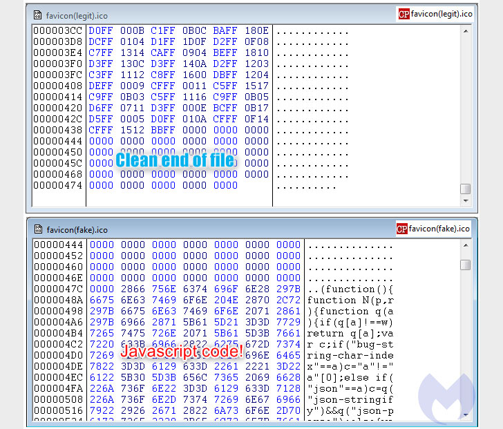 homograph phishing attack