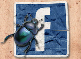 Facebook Prepares to Launch Bug Bounty Program !