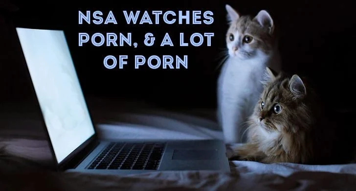 NSA & CIA Analysts Watching Porn, A Lot of Porn, More Than You Could Ever