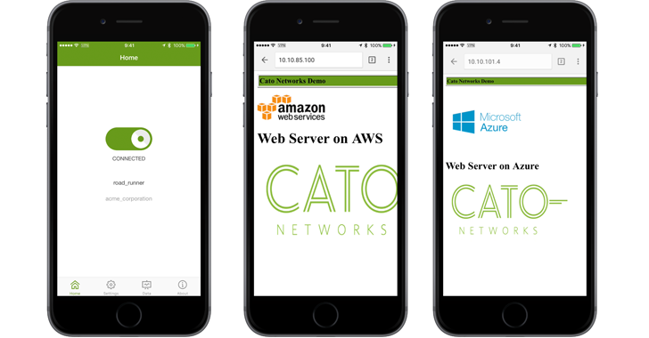 Figure 12: Cato client for iOS connects the user to all resources with a single VPN connection