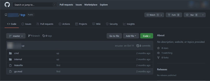 Golang-based Botnet