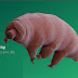 Hackers Targeting Biomanufacturing Facilities With Tardigrade Malware