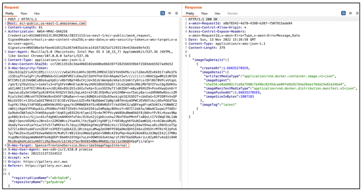 Amazon ECR Public Gallery Vulnerability