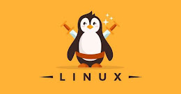 Cisco Certification Courses