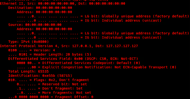 New GoLang-Based HinataBot Exploiting Router and Server Flaws for DDoS Attacks