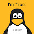 Researchers Uncover New Linux Kernel 'StackRot' Privilege Escalation Vulnerability