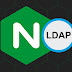 NGINX Shares Mitigations for Zero-Day Bug Affecting LDAP Implementation